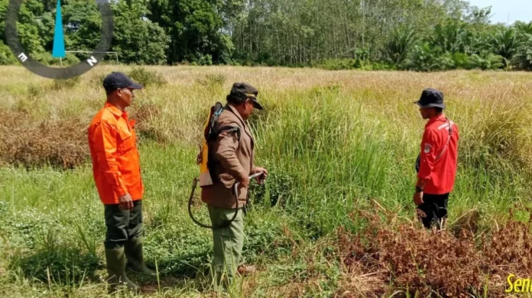 Siaga Hadapi Karhutla, Manggala Agni Daops 14 Banyuasin Pantau Titik Panas