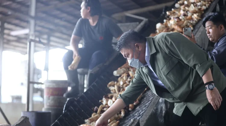 Gubernur Sumsel Tinjau Pabrik Tapioka, Tekankan Industri Berbasis Lokal
