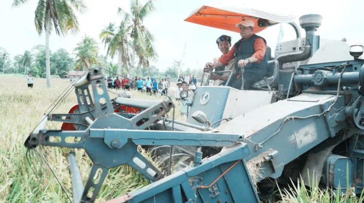 Hadapi Serangan Hama Petani, Bupati Banyuasin Dorong Pola Tanam Serentak