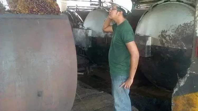 Alur Proses Pembuatan Minyak Sawit Mentah