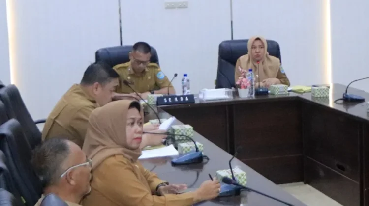 Pemkab OKU Selatan Kaji PKKPR Pembangunan Klinik dan RS Swasta