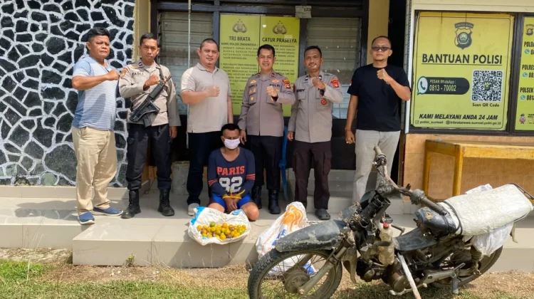 Polisi Amankan Pelaku Pencurian 700 Kilogram Jeruk di Desa Rantau Sialang