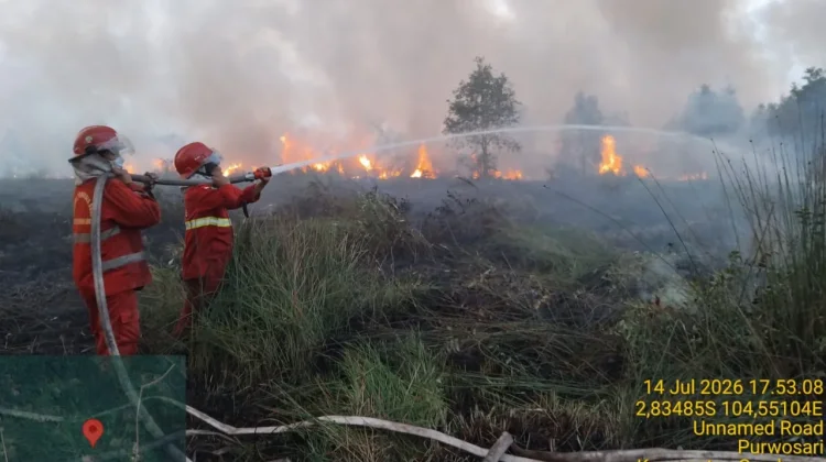 Lahan Seluas 15 Hektare Terbakar di Banyuasin Berhasil Dipadamkan