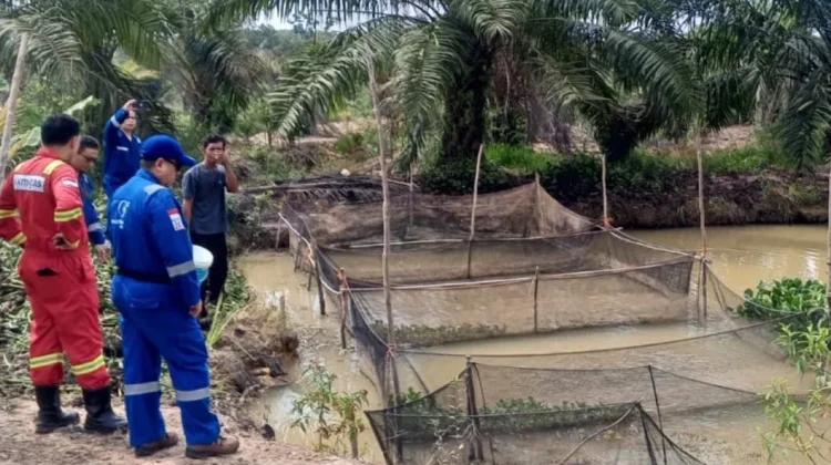Medco E&P Kembangkan Budidaya Lele untuk Perkuat Ekonomi Warga Muba