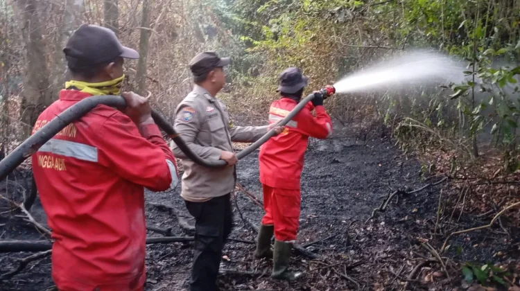 Sinergi Polisi-Manggala Agni, Karhutla di Desa Pegayut Ogan Ilir Berhasil Padam