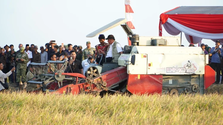 Panen Raya TNI di OKI, Herman Deru Targetkan Lima Juta Ton Padi