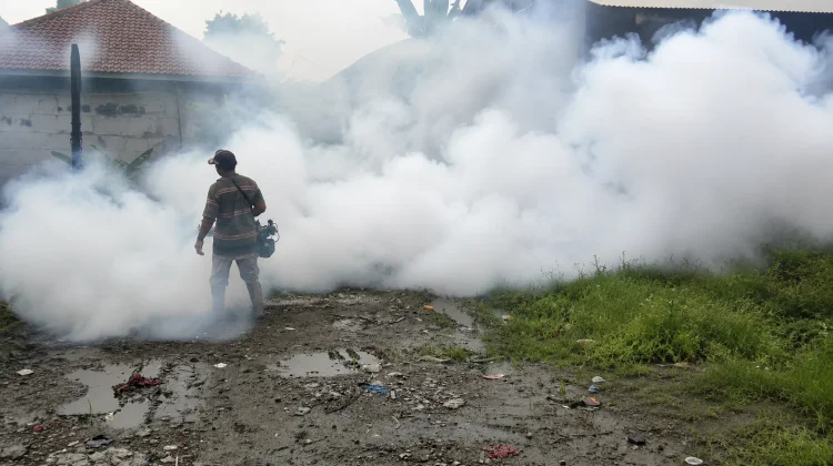 Cegah DBD, Masyarakat Diimbau Hindari Nyamuk Aedes Aegypti Aktif Pagi dan Sore