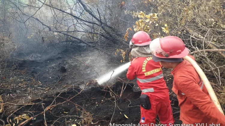 Karhutla di Desa Tanjung Kurung PALI Berhasil Dipadamkan