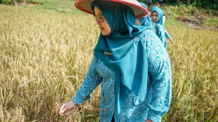 Panen Padi Organik Muba: PKK Dorong Kemandirian Pangan Desa