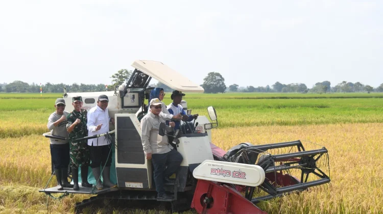 Ketahanan Pangan, Korem 044/Gapo Ikuti Program Gerakan Tanam IP300