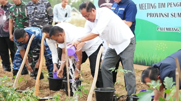 Sumsel Perkuat GSMP Dukung Ketahanan Pangan dan MBG