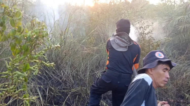 Api Dekati Permukiman di Sekayu, Tim Gabungan Padamkan Karhutla