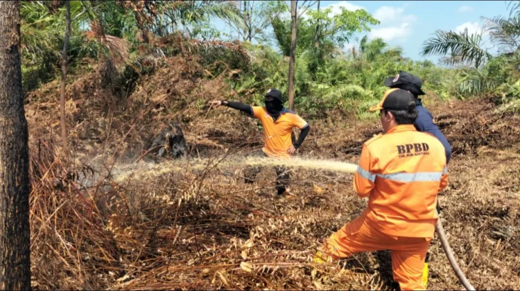 Lahan Gambut 20 Hektare di Muba Terbakar, Tim Pemadam Buru Bara Api