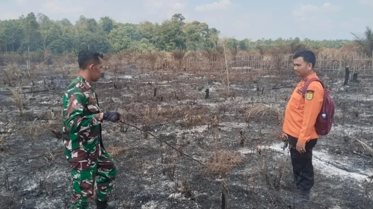 Hotspot Terdeteksi di Muba, Petugas Temukan Lahan Terbakar