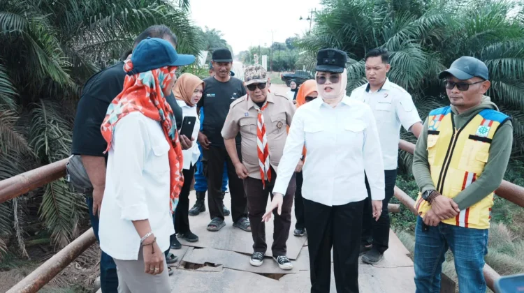 Jembatan Penghubung Desa Rusak, Pemkab Banyuasin Pasang Tambal Plat Besi