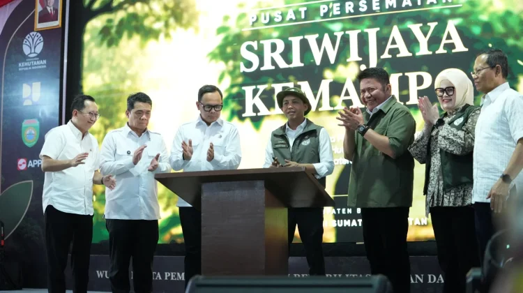 Persemaian Sriwijaya Kemampo Banyuasin Produksi 5 Juta Bibit per Tahun