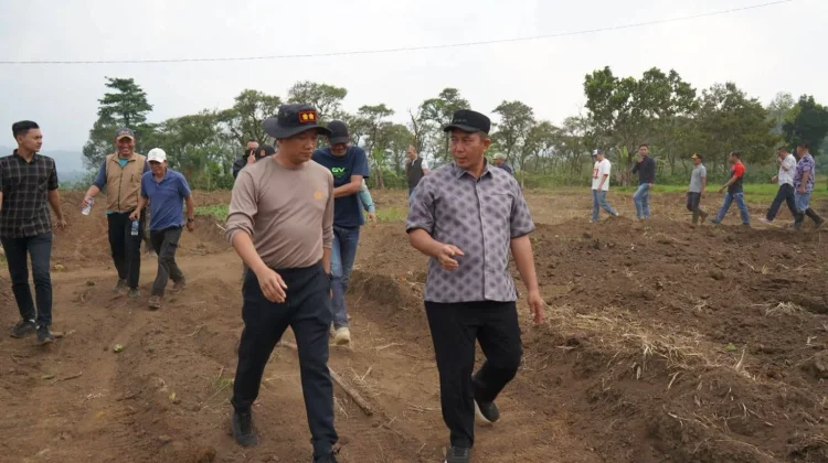 Pemkot Pagar Alam Siapkan 10 Hektare Lahan untuk Bawang Putih