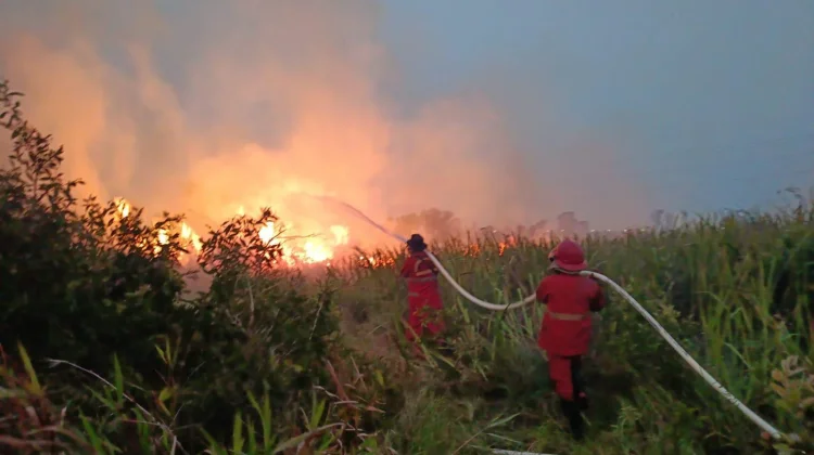 Manggala Agni Padamkan Karhutla Pemulutan, Api Tak Jangkau Permukiman Warga