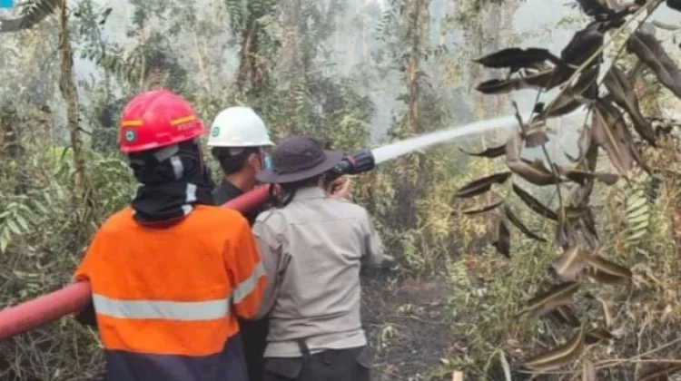 Sekitar Satu Hektar Lahan di Perajin Banyuasin Terbakar