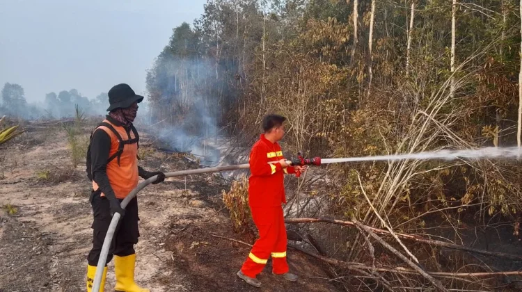 Tiga Hektare Lahan Muara Teladan Muba Terbakar