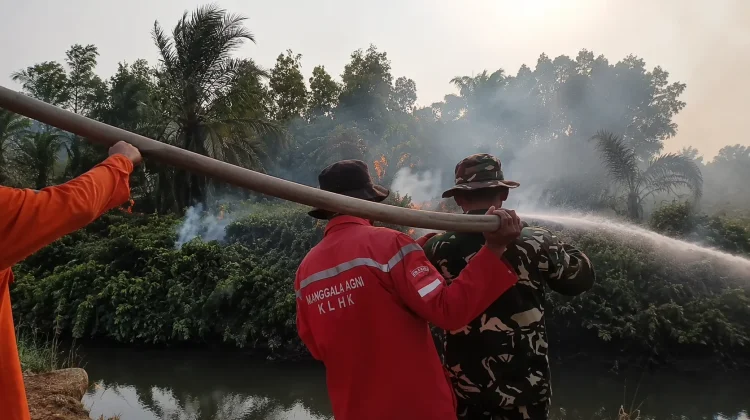 Lahan Gambut Rantau Bayur Terbakar, BPBD Banyuasin Hadapi Akses Sulit