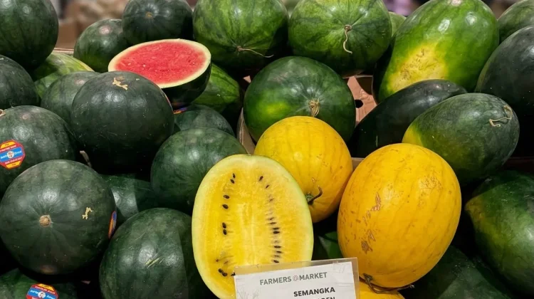 Semangka Kuning dan Merah, Apa Bedanya?