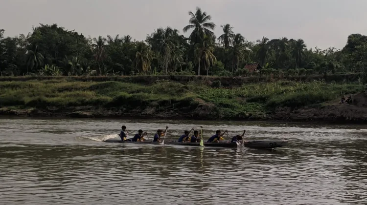 Bidar Kembali Berpacu di Sungai Lematang setelah Delapan Tahun Vakum