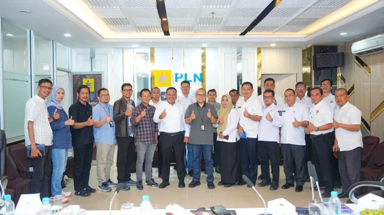 Kemenhut-Pemprov Sumsel Dorong Percepatan Perizinan Listrik Desa