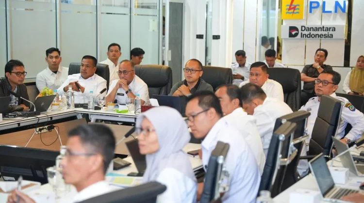 PLN Targetkan 118 Lokasi Listrik Desa Sumsel Terlayani Bertahap