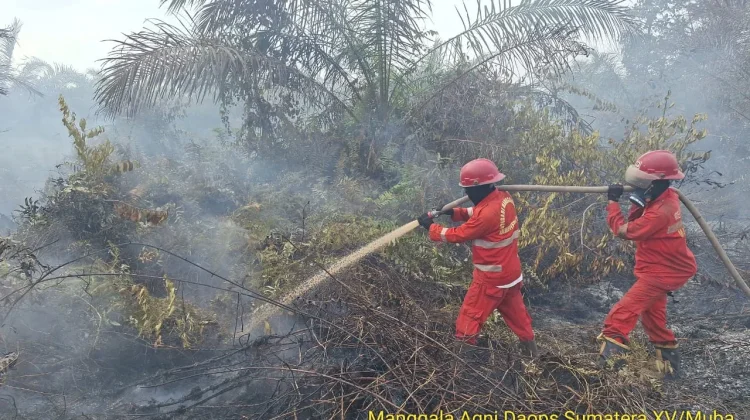 Karhutla Sumsel: OKI, Muba dan Muara Enim Jadi Prioritas Pemadaman