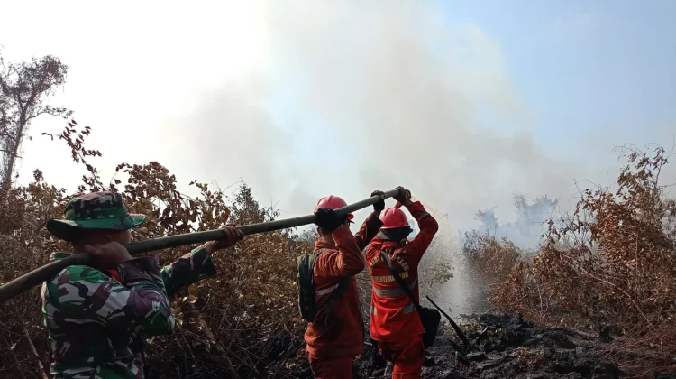Manggala Agni Tambah Personel Padamkan Karhutla Muara Enim