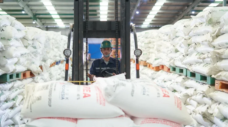 Amankan Stok saat Kemarau, Pusri Siagakan 141 Ribu Ton Pupuk Subsidi