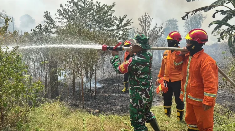 Karhutla Kembali Terjadi di Muba, Tim Gabungan Padamkan Tiga Hektare