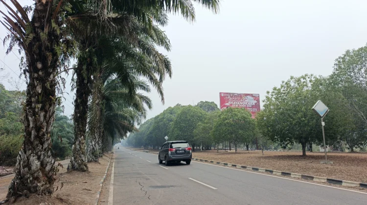 Kualitas Udara di Kota Pangkalan Balai Masuk Kategori Sangat Tidak Sehat