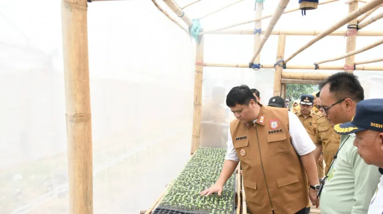 Sinar Bohlam Hadirkan Smart-Greenhouse Melon Sumsel