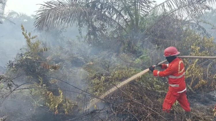 Sumsel Siapkan Operasi Modifikasi Cuaca Manfaatkan Potensi Awan Hujan