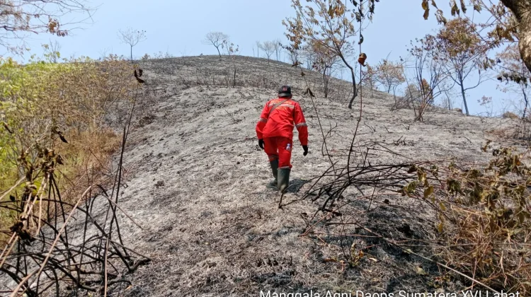 Tim Gabungan Berhasil Padamkan Karhutla Bukit Senubut Lahat