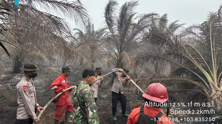 Satbrimob Polda Sumsel Bersama TNI dan Manggala Agni Tangani Karhutla Muba