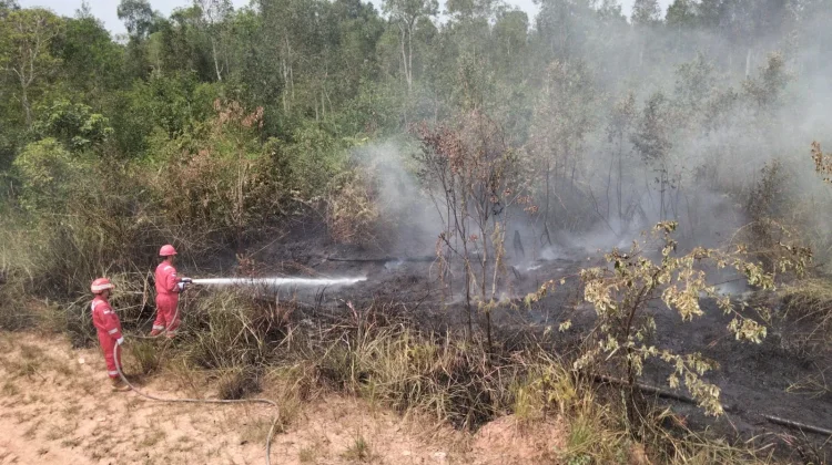 Pertamina EP Ramba Field Bantu Warga Padamkan Karhutla Sekitar Wilayah Operasi
