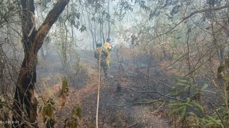 Babinsa Gandus Terjang Kobaran Api, 3,5 Hektare Karhutla Berhasil Dipadamkan