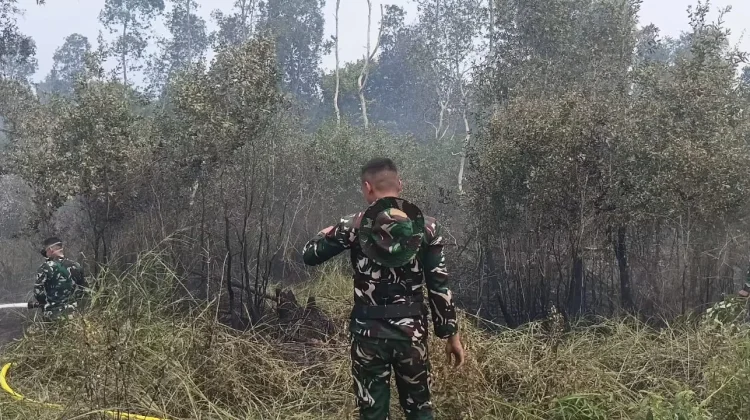 Karhutla 3 Hektare di Gandus Padam, Warga Diminta Waspada