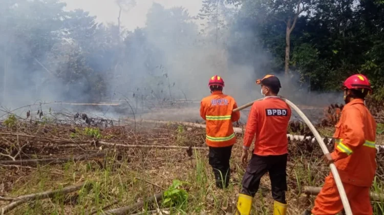 Karhutbunla 2 Hektare di Sekayu Padam, Penyebab Diselidiki