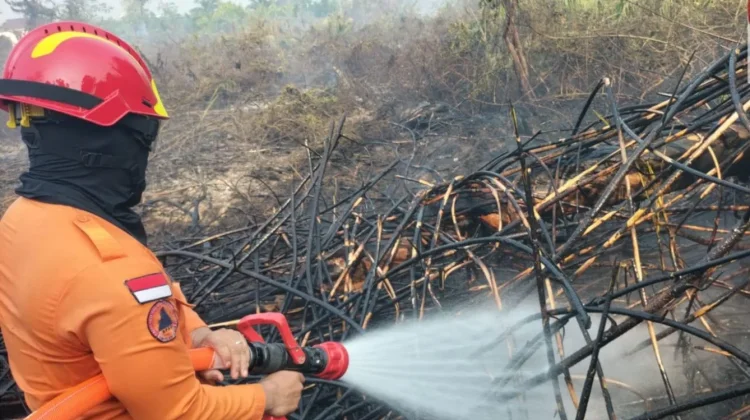 Hotspot Terdeteksi Satelit di Babat Toman, Tim Karhutla Muba Langsung Cek Lokasi