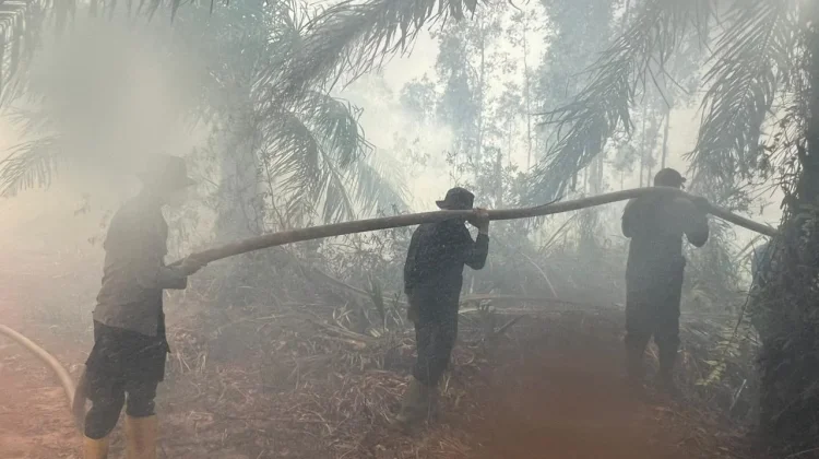 Operasi Aman Nusa II Tangani Karhutla 9 Hektare di OKI