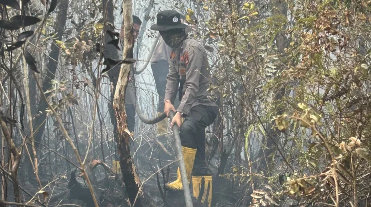 Operasi Aman Nusa II Padamkan Karhutla 2 Hektare di Tulung Selapan