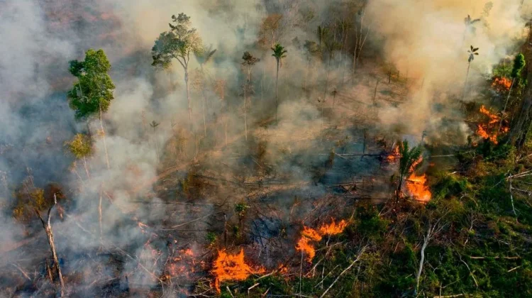 Karhutla Kini Jadi Ancaman Keamanan Indonesia di ASEAN