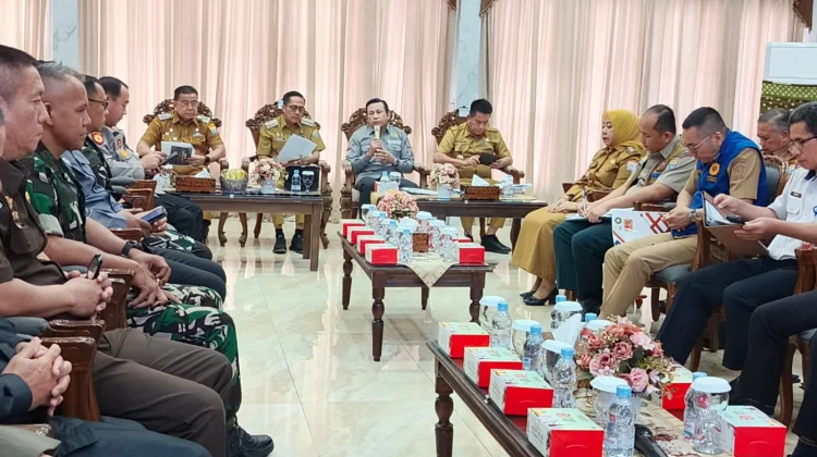 Karhutla Meluas, Palembang Siapkan Tim Reaksi Cepat