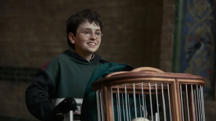 HBO Tambah Tiga Pemeran Baru Serial ‘Harry Potter’