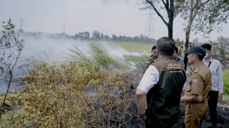 Api Hanguskan 253 Hektare Lahan di Palembang, Ratu Dewa Perkuat Posko Karhutla