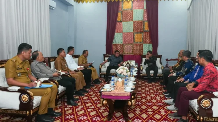 Karhutla Ancam Kelistrikan, Pemprov Sumsel Perkuat Koordinasi PLN